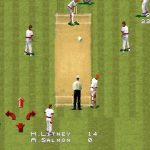 Imagen del juego Ian Botham's International Cricket 96 para Ordenador