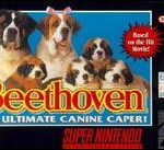 Imagen del juego Beethoven: The Ultimate Canine Caper para Super Nintendo