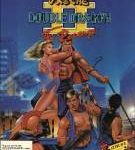 Imagen del juego Double Dragon 2 para Ordenador
